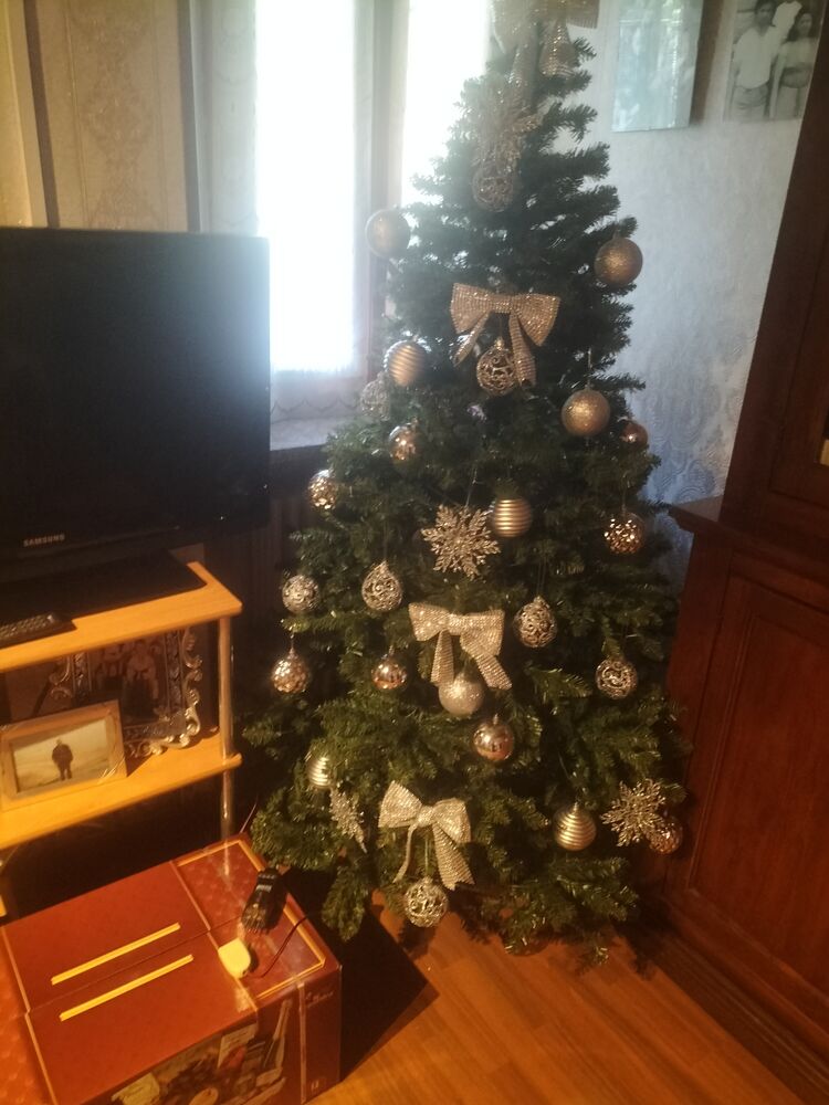  54491308  Andrew, 44 ,    Trivero