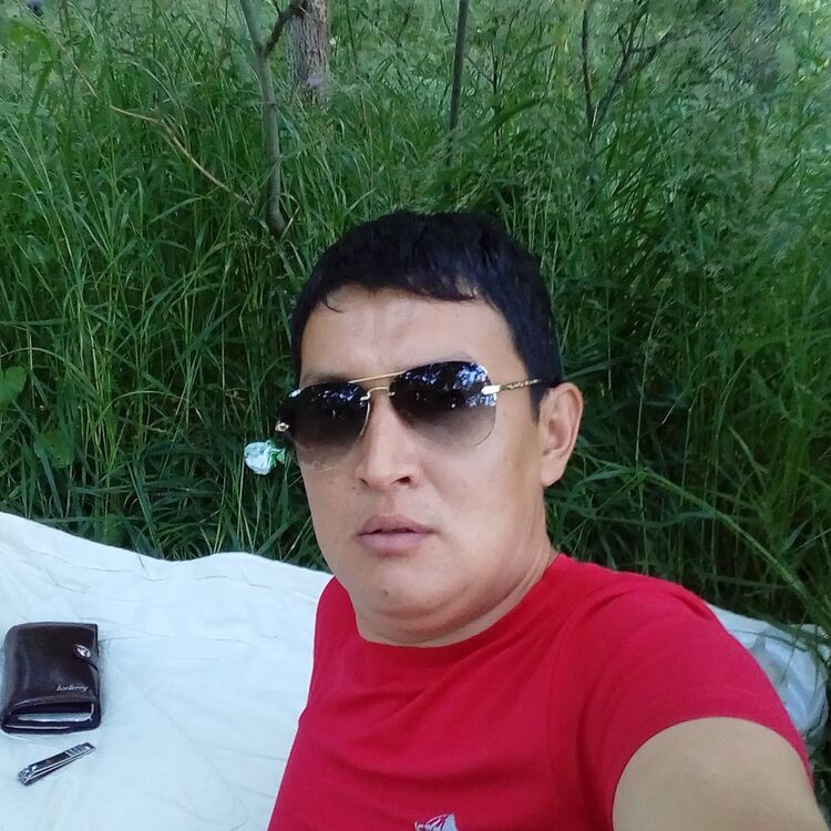 ���������� ������, ���� ������� ���, 41 ���, ������������ ��� ������, ����� � ���������, c�������� ���������, ���������