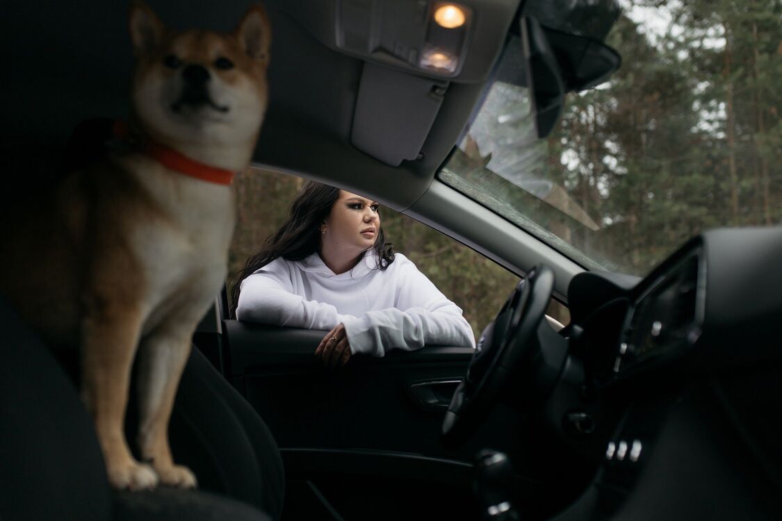 ���������� �����, ���� ������� �������, 34 ����, ������������ ��� ����� � ���������, c�������� ���������, ���������