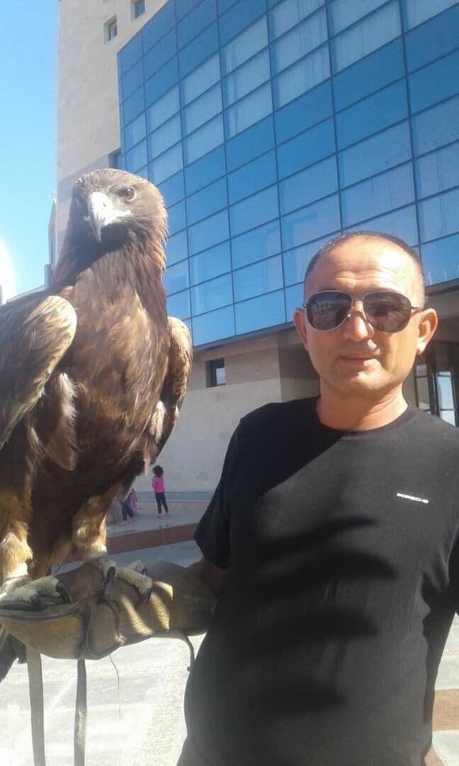 ���� 37836798 ������� ��������, 56 ���, ���� ���������� � ������