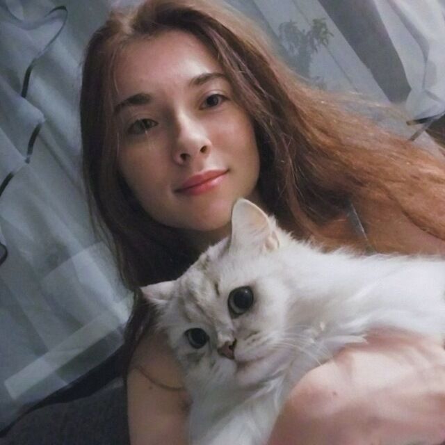 ���������� ������, ���� ������� ���������, 22 ����, ������������ ��� ������, ����� � ���������