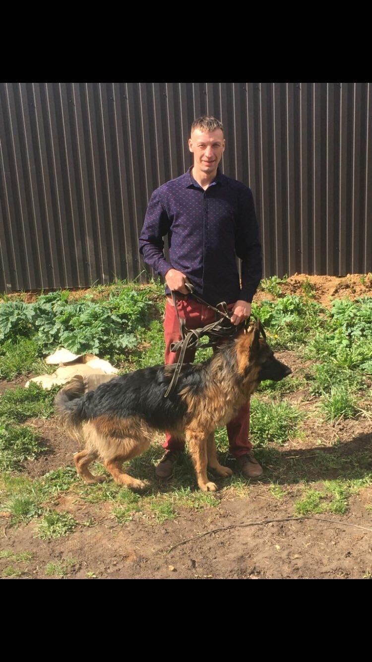 ���������� ���������, ���� ������� �������, 37 ���, ������������ ��� ������, ����� � ���������