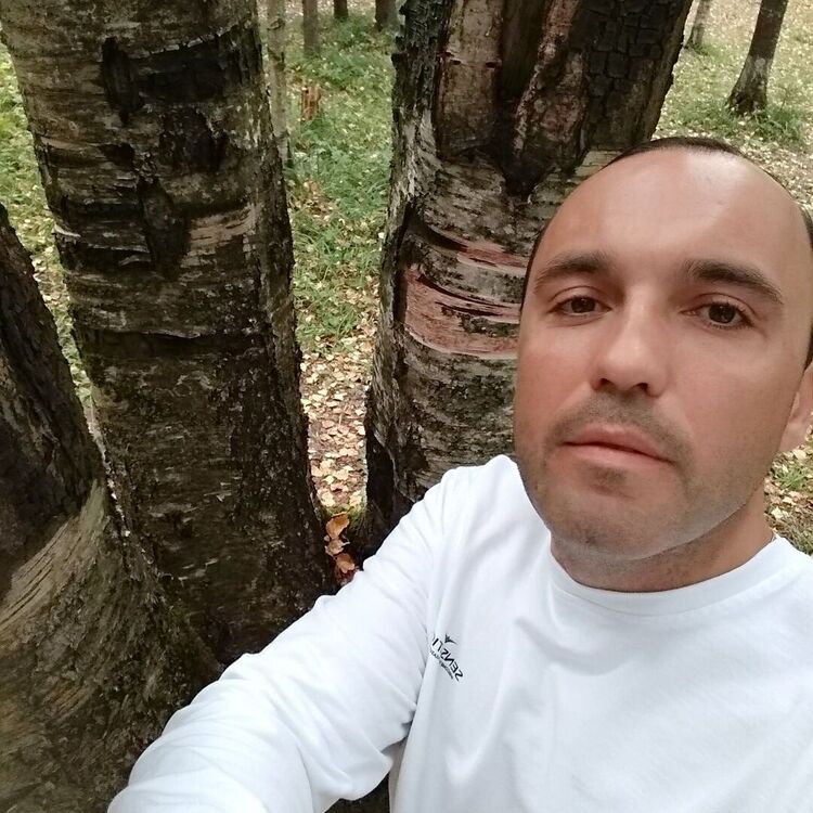 ���� 29053468 ������� ����, 43 ����, ���� ���������� � ������