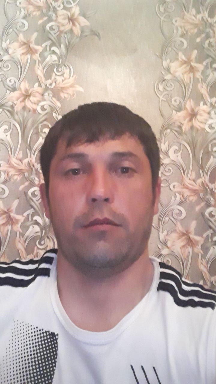  33086538  , 33 ,     