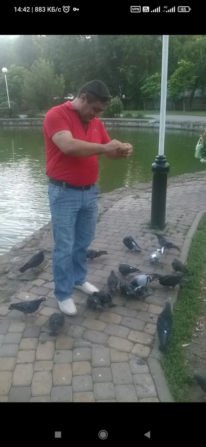  ,   Kras, 52 ,   ,   