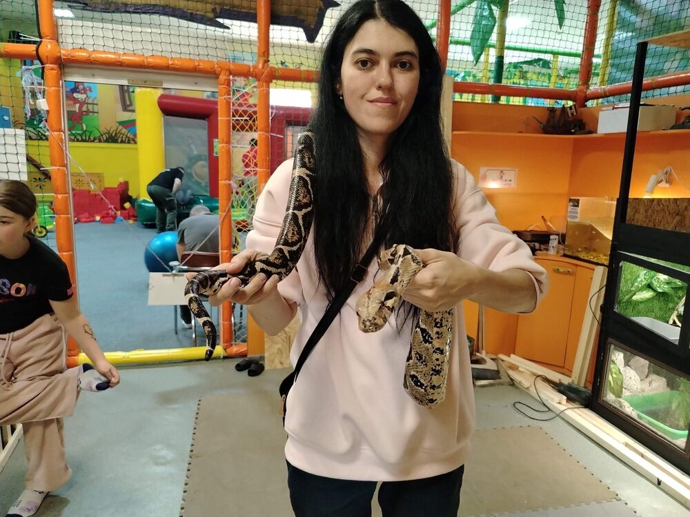 ���������� �����, ���� ������� �������, 35 ���, ������������ ��� ���������