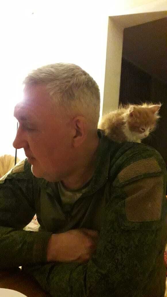 ���� 53930278 ������� �������, 56 ���, ���� ���������� � ����������