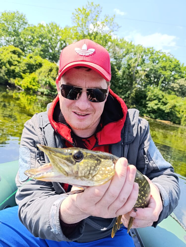 ���������� ���������, ���� ������� �������, 41 ���, ������������ ��� ������, ����� � ���������