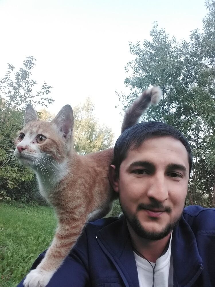 ���� 18662458 ������� �������, 31 ���, ���� ���������� � �����-����������