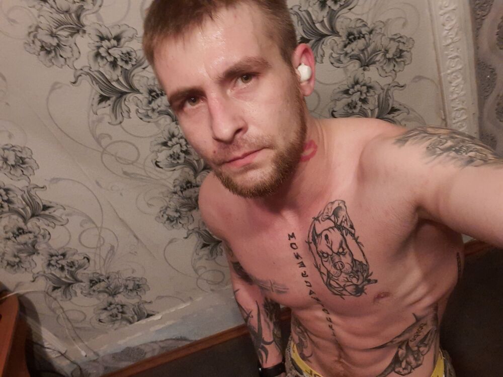 ���������� ���������, ���� ������� ���������, 31 ���, ������������ ��� ������, ����� � ���������, c�������� ���������