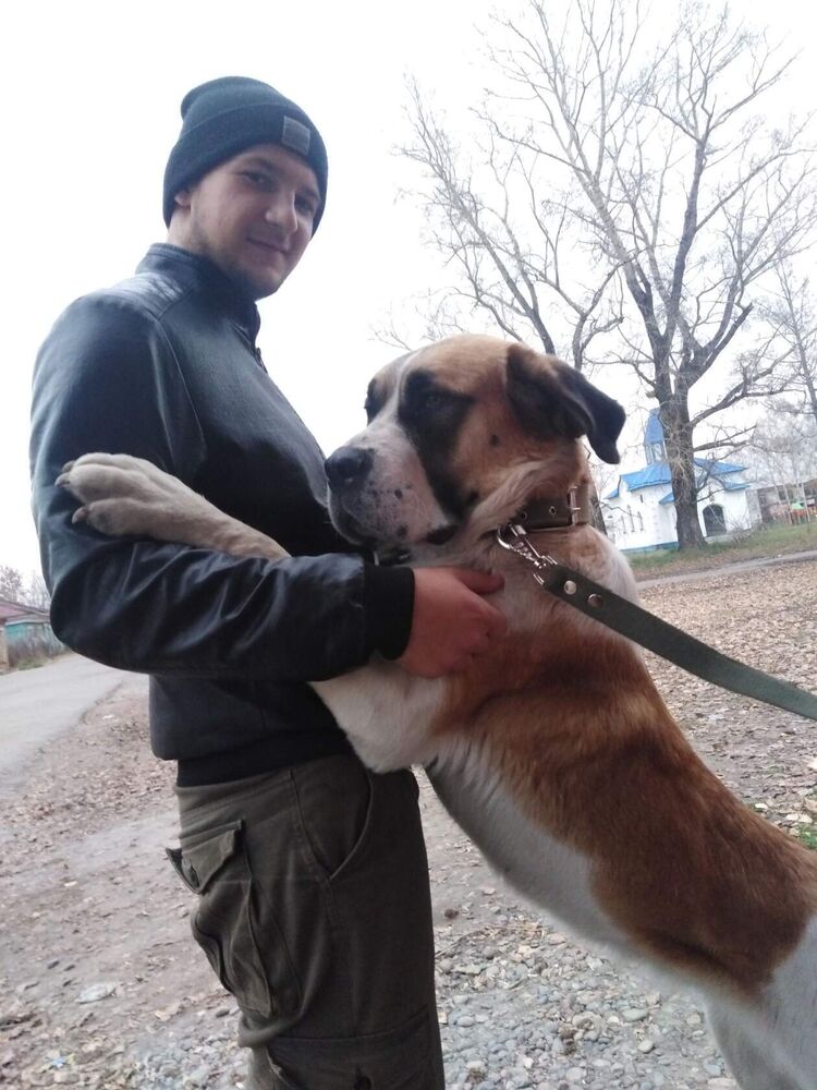 ���� 26673858 ����� �������, 24 ����, ���� ���������� � ������