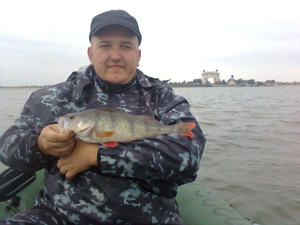 ���� 8992798 ������� ����, 43 ����, ���� ���������� � ���������