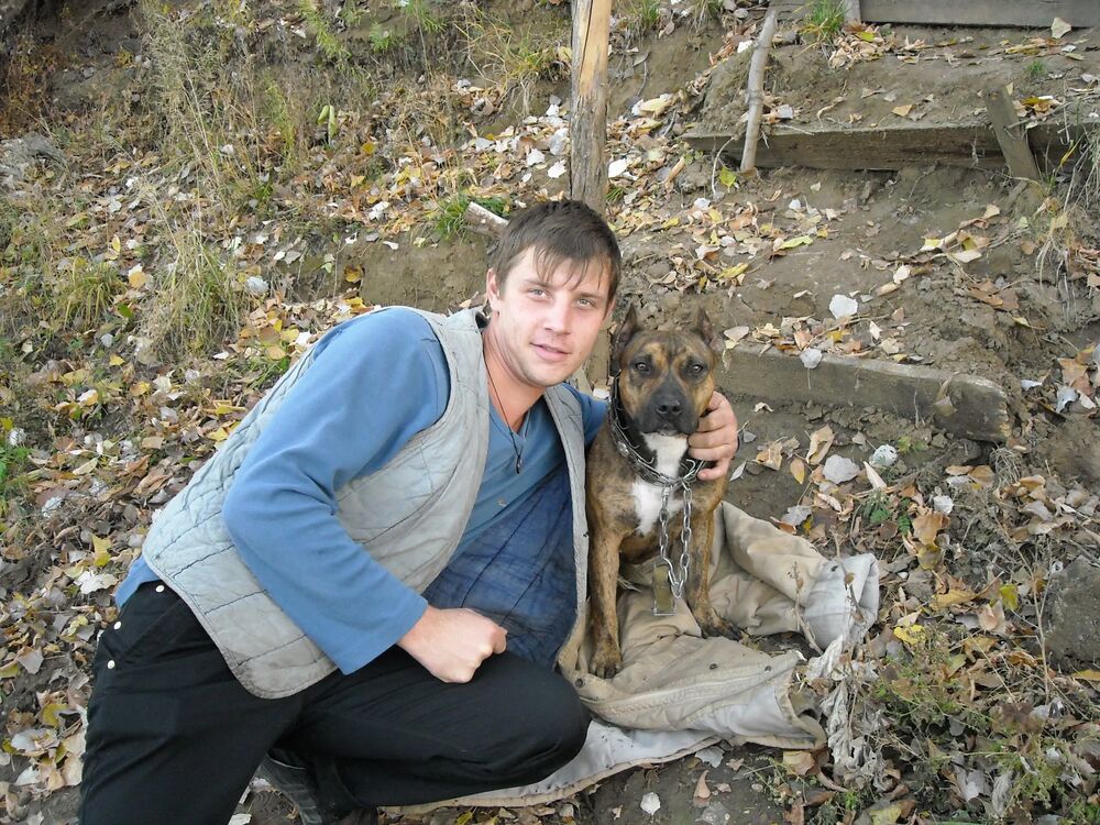 ���������� ��������, ���� ������� ����, 40 ���, ������������ ��� ������, ����� � ���������