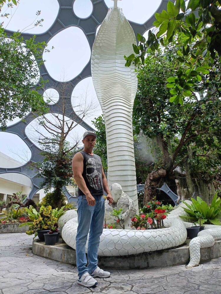 ���� 56272238 ������� Maxim, 36 ���, ���� ���������� � ������