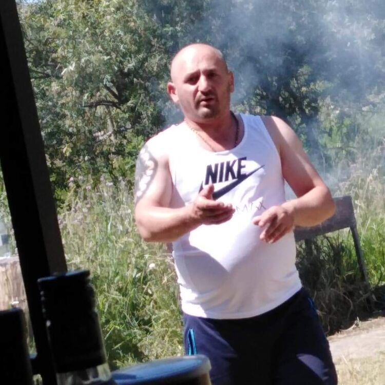  27841988  , 43 ,    -