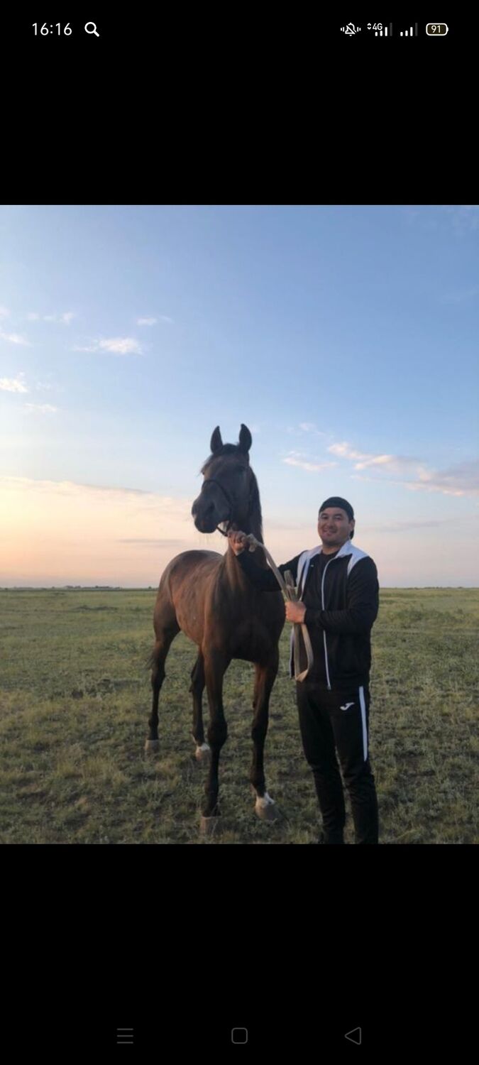 ���������� ������, ���� ������� �����, 39 ���, ������������ ��� ������, ����� � ���������