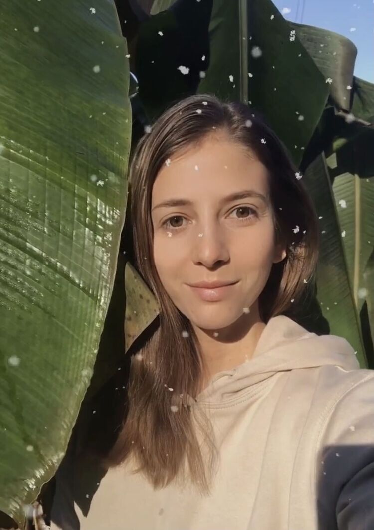 ���� 31871288 ������� ����, 31 ���, ���� ���������� � ����