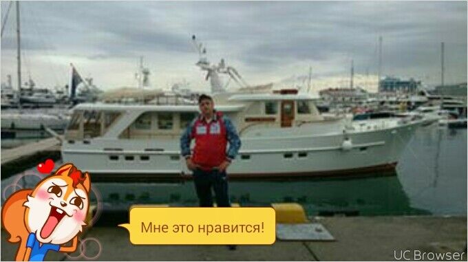 ���� 6597568 ������� ����, 44 ����, ���� ���������� � ������