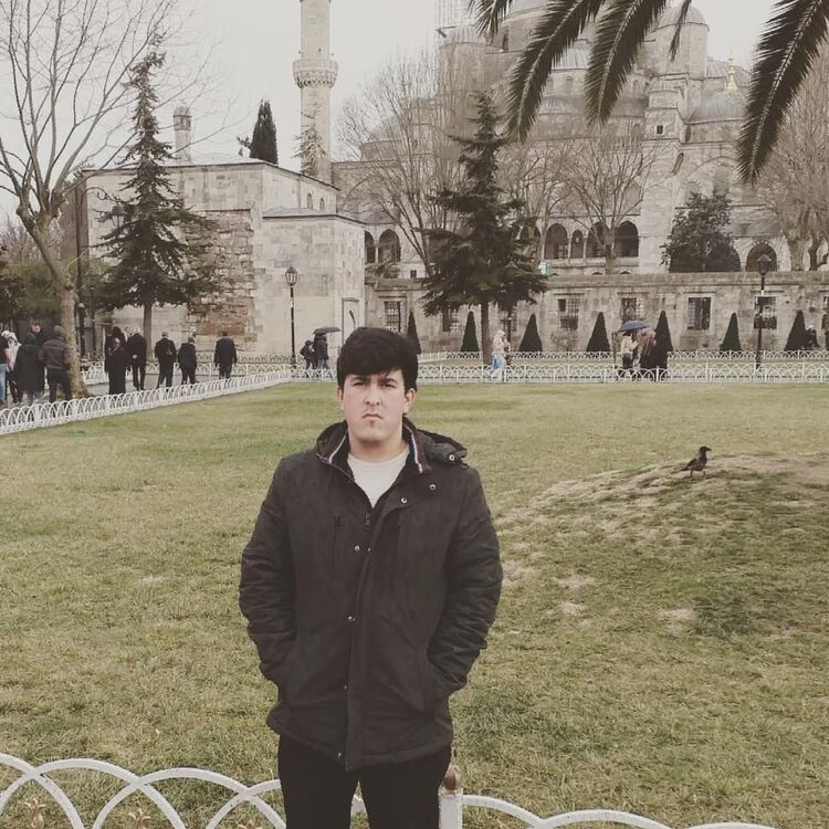 ���������� ���������, ���� ������� �����, 29 ���, ������������ ��� c�������� ���������