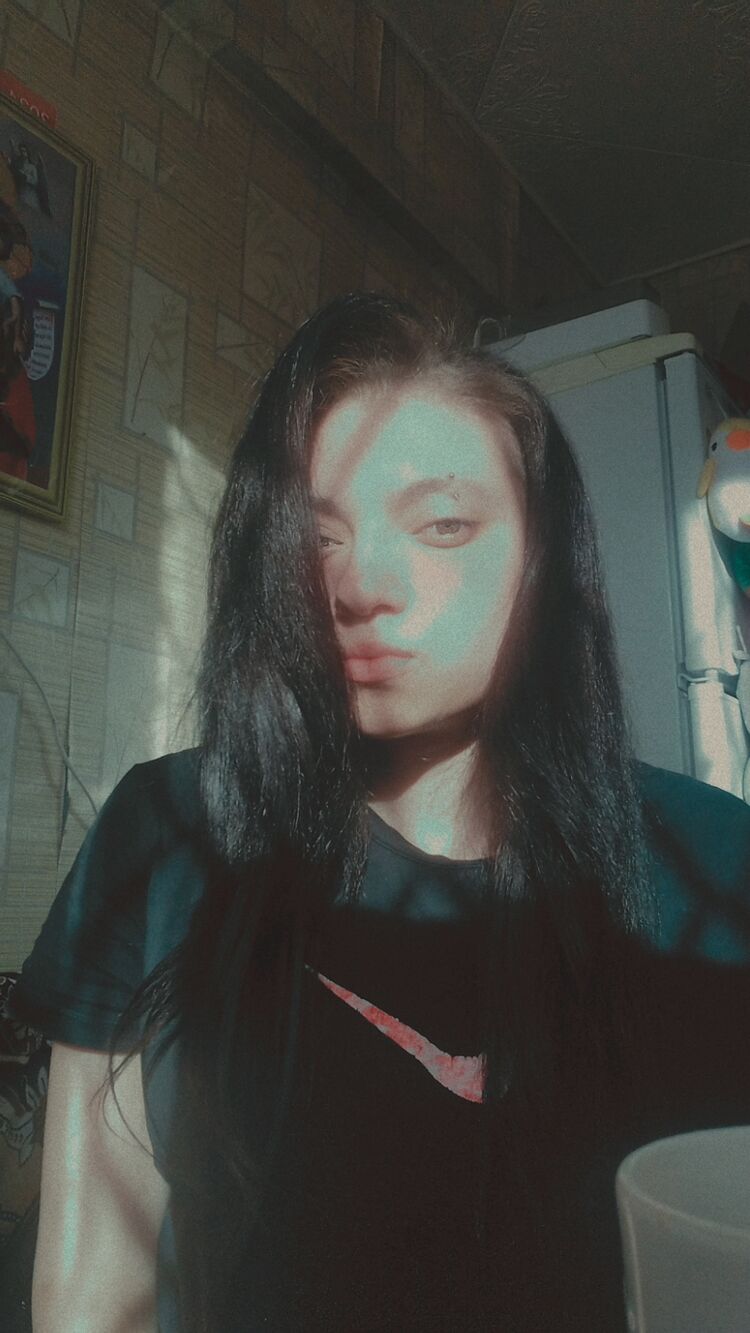  53000268  , 21 ,    