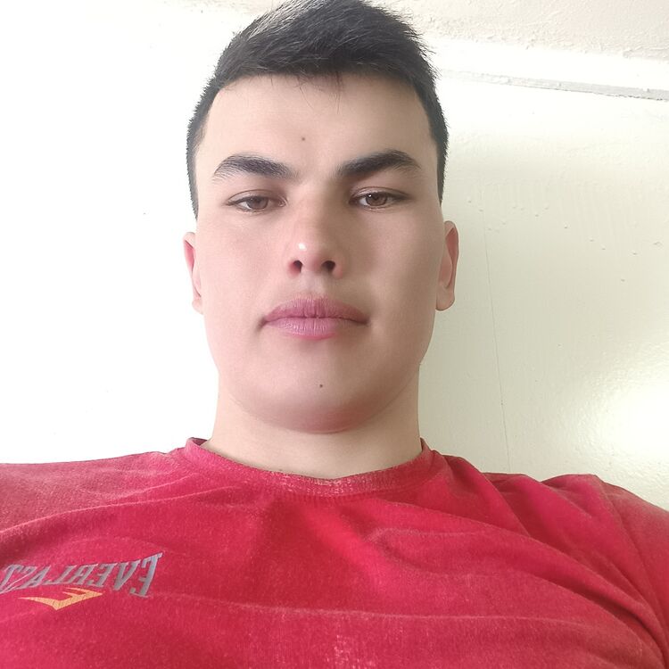  33787378  , 27 ,    -