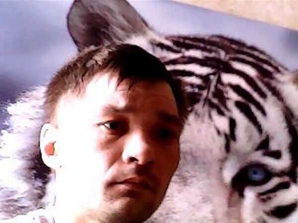 ���������� ������, ���� ������� ���������, 46 ���, ������������ ��� ������, ����� � ���������