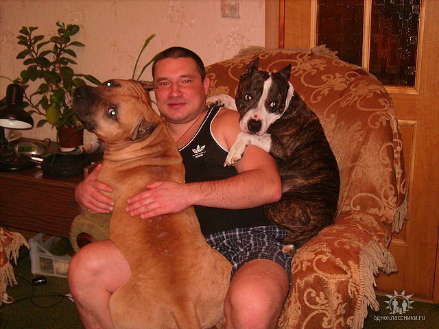 ���� 15326338 ������� ������, 43 ����, ���� ���������� � ������