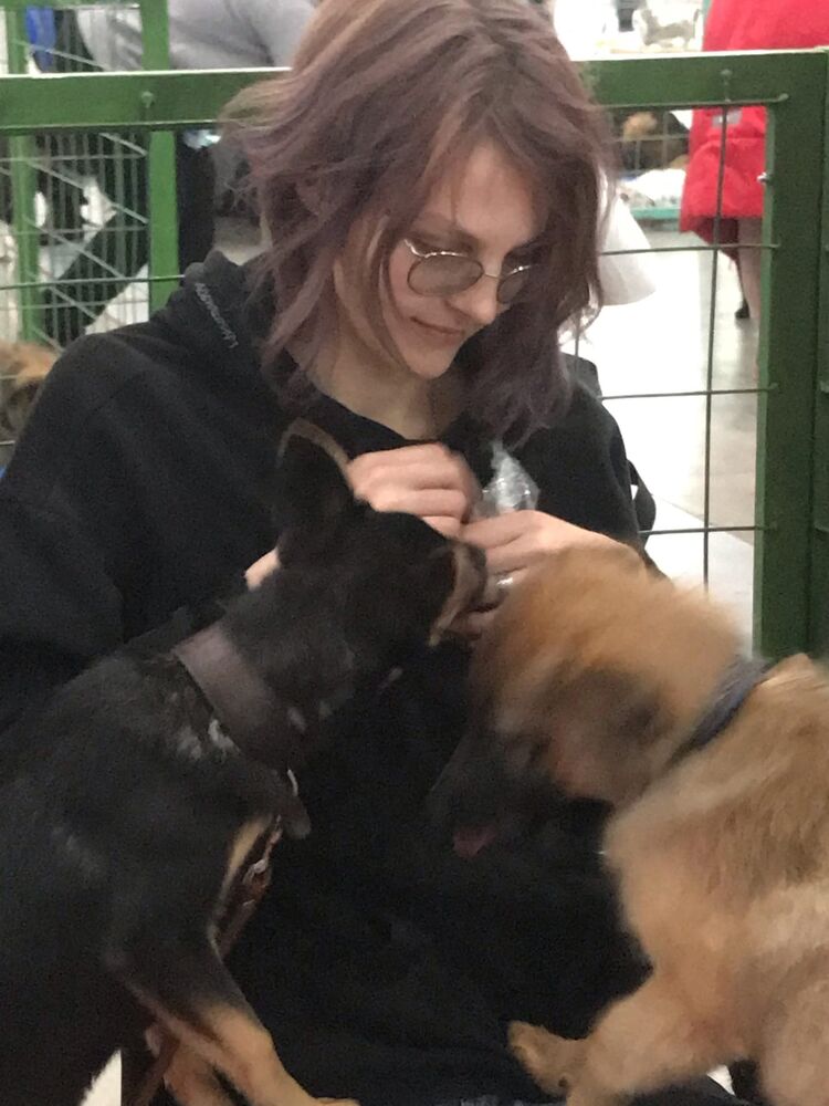 ���������� �����-���������, ���� ������� ����, 27 ���, ������������ 