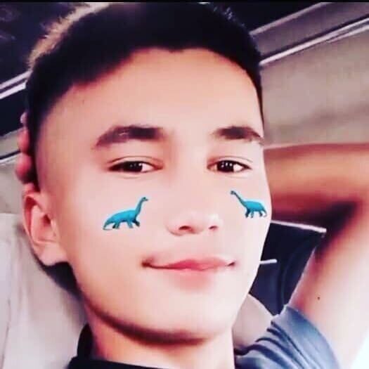 ���� 24827888 ����� ������, 24 ����, ���� ���������� � �������