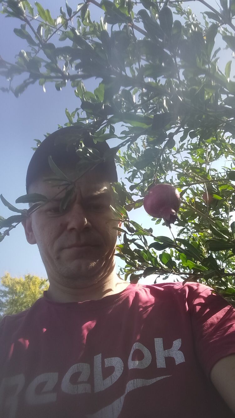 ���� 47210898 ������� ������, 32 ����, ���� ���������� � ����������