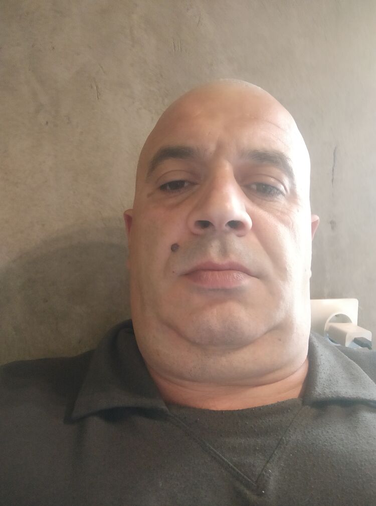  43159108  , 44 ,    