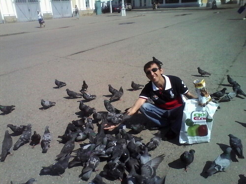 ���������� ������, ���� ������� �����, 41 ���, ������������ ��� ������, ����� � ���������, c�������� ���������, ���������