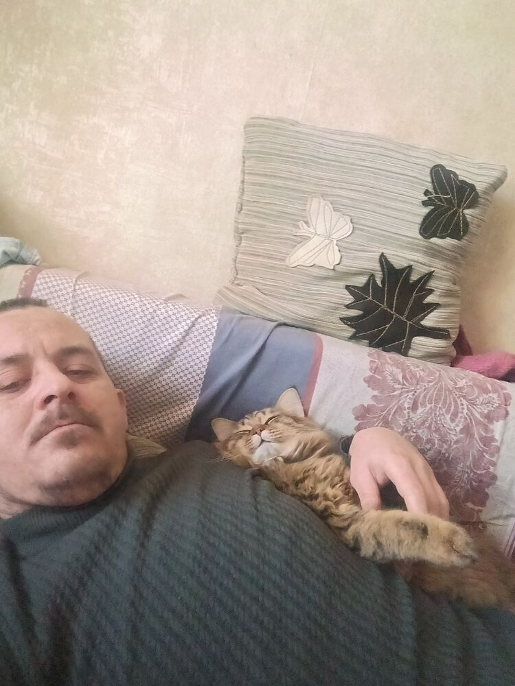 ���� 50240598 ������� �������, 36 ���, ���� ���������� � ������