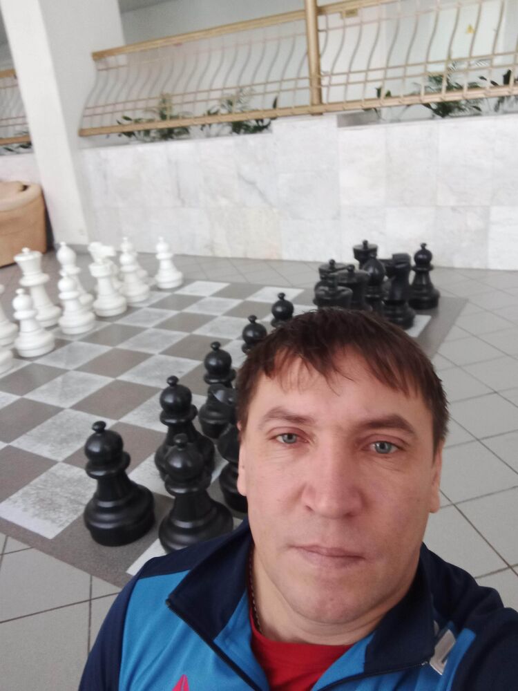  43637858  , 43 ,    
