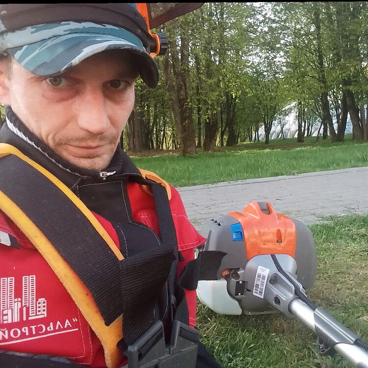  42393798  , 36 ,    
