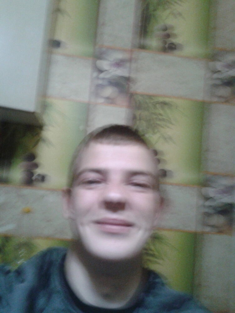  15117668  , 28 ,    