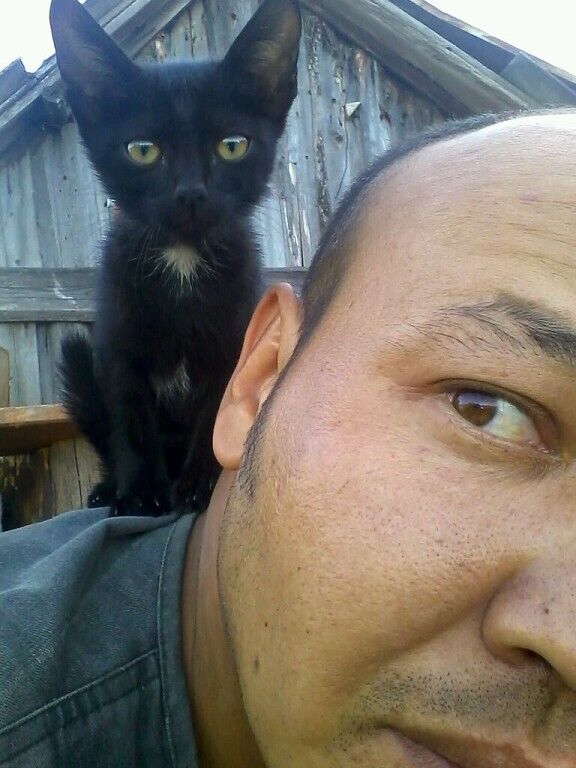 ���� 24315998 ������� �������, 45 ���, ���� ���������� � ������-���