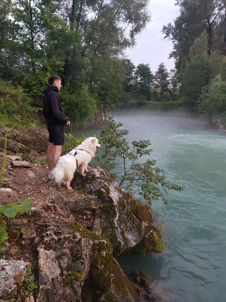 ���������� ������-��-����, ���� ������� �����, 33 ����, ������������ ��� ������, ����� � ���������, c�������� ���������