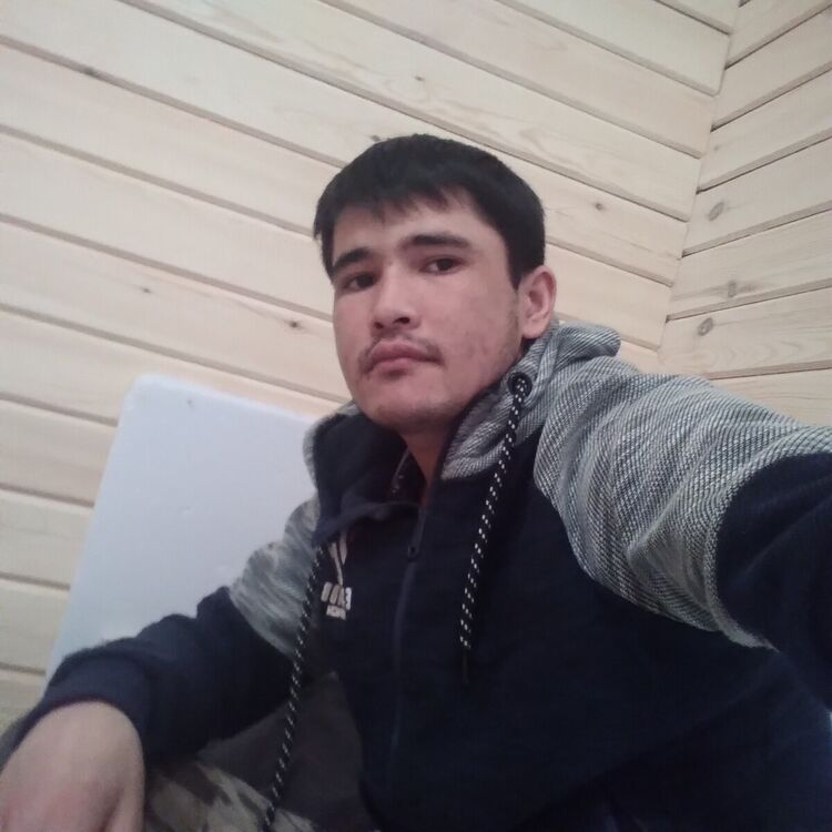 ���� 22433648 ������� ����, 33 ����, ���� ���������� � ������������