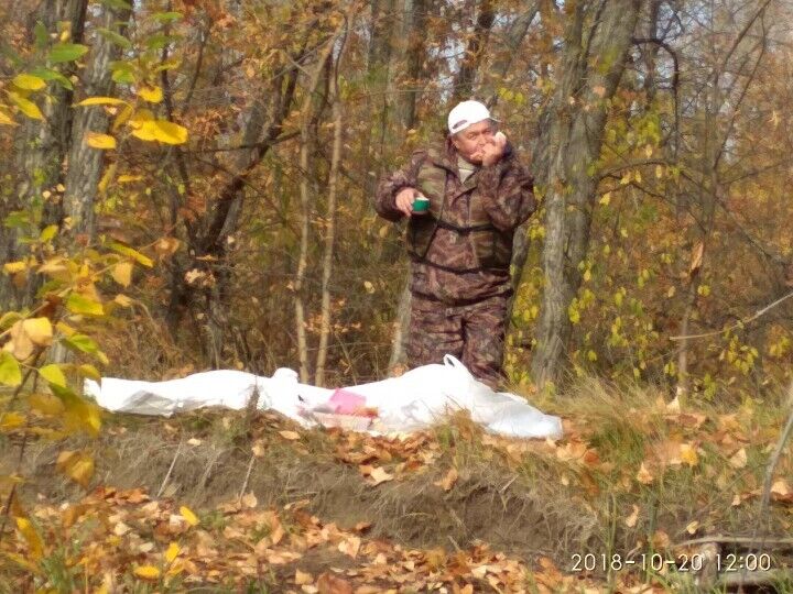 ���� 31626998 ������� ������������, 54 ����, ���� ���������� � �����