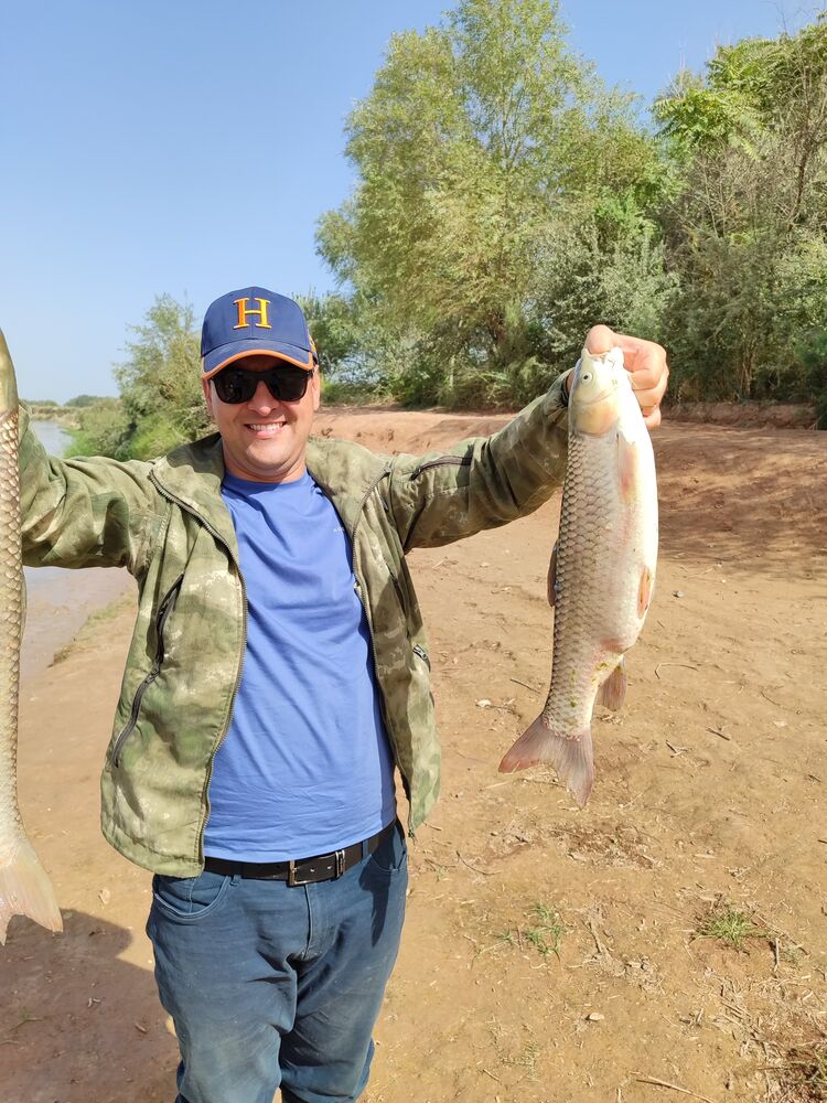  53081318  Bobojon, 29 ,    