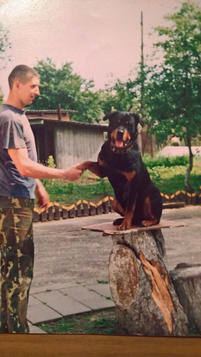 ���������� ������, ���� ������� ���������, 48 ���, ������������ ��� ������, ����� � ���������, c�������� ���������