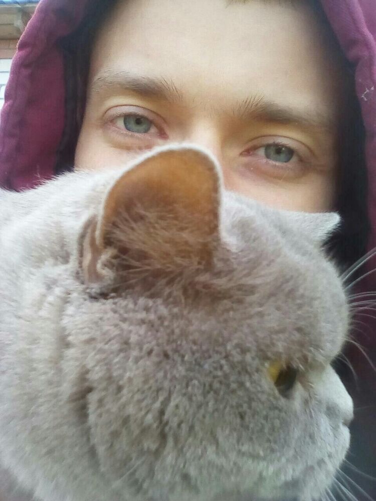 ���� 56154018 ������� ����, 20 ���, ���� ���������� � �������������