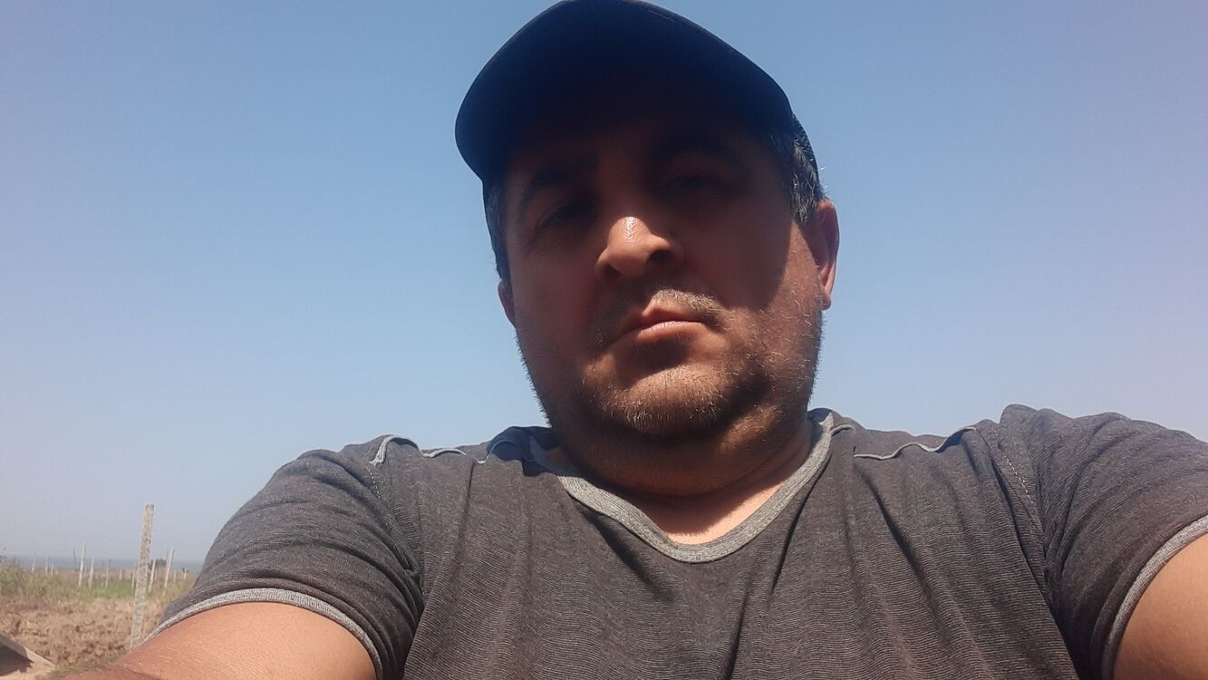  28545578  , 52 ,    