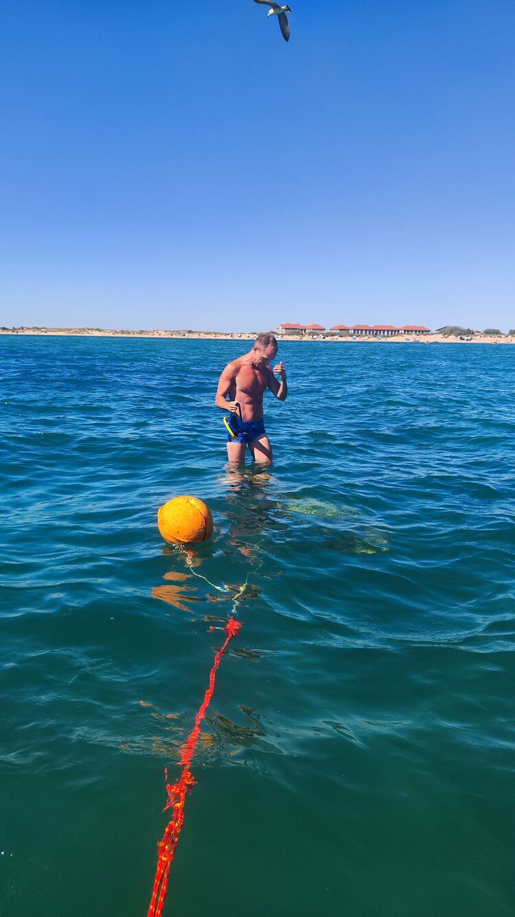  53669578  , 36 ,    -