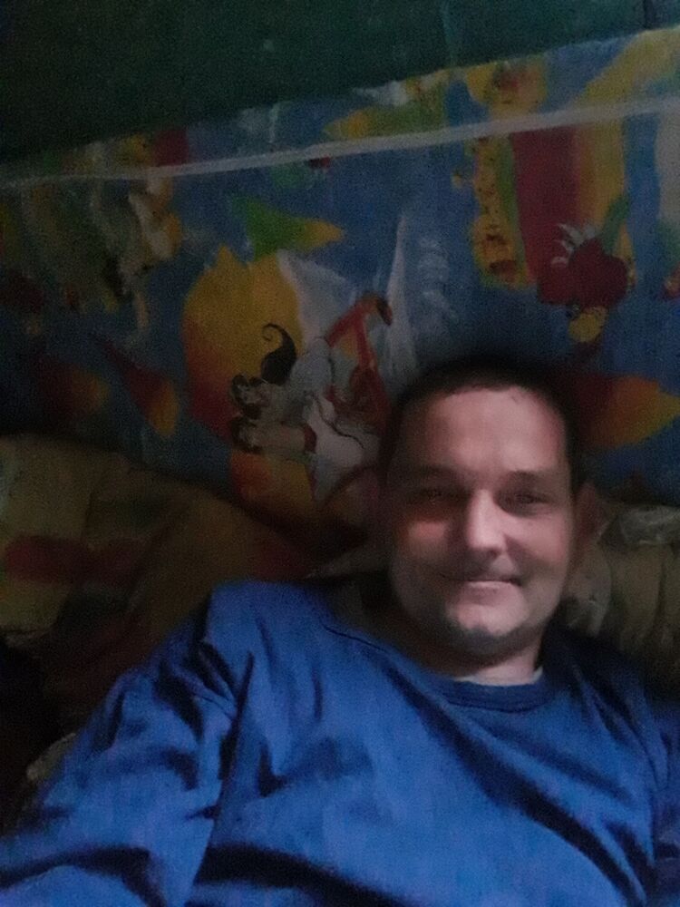  33533908  , 38 ,    