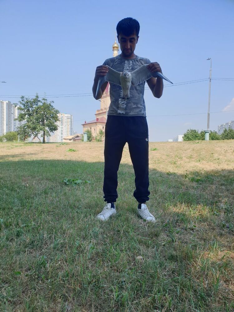 ���������� ������-��-����, ���� ������� ������, 27 ���, ������������ ��� ������, ����� � ���������, c�������� ���������, ���������