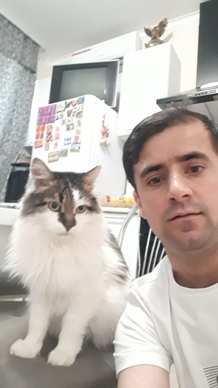  ,   , 36 ,   ,   