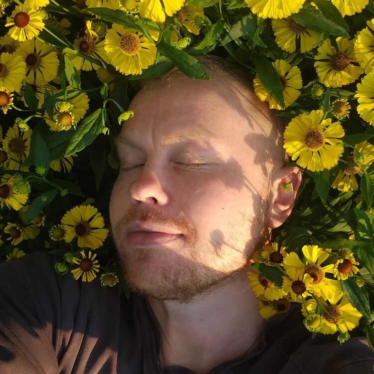 ���������� �����-���������, ���� ������� �������, 39 ���, ������������ ��� ������, ����� � ���������