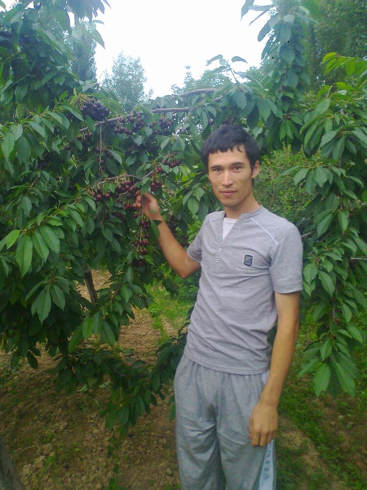 ���������� �������, ���� ������� ��������, 35 ���, ������������ 